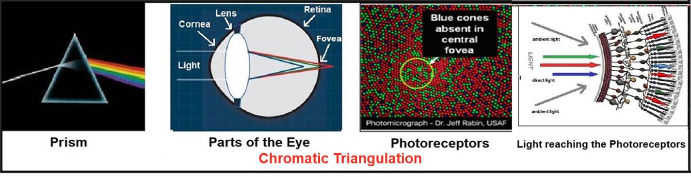 A screenshot of a test

AI-generated content may be incorrect.
