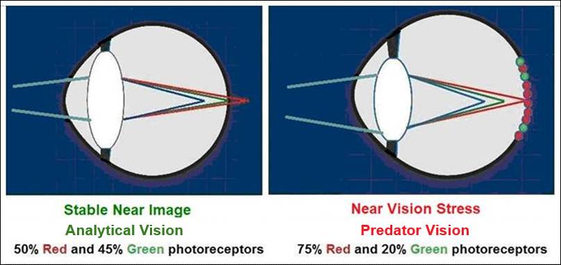 A grey background with black and white circles

AI-generated content may be incorrect.