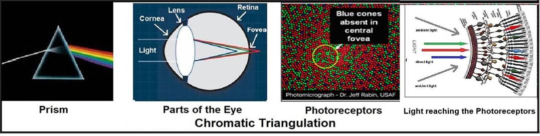 A close-up of a diagram
Description automatically generated
